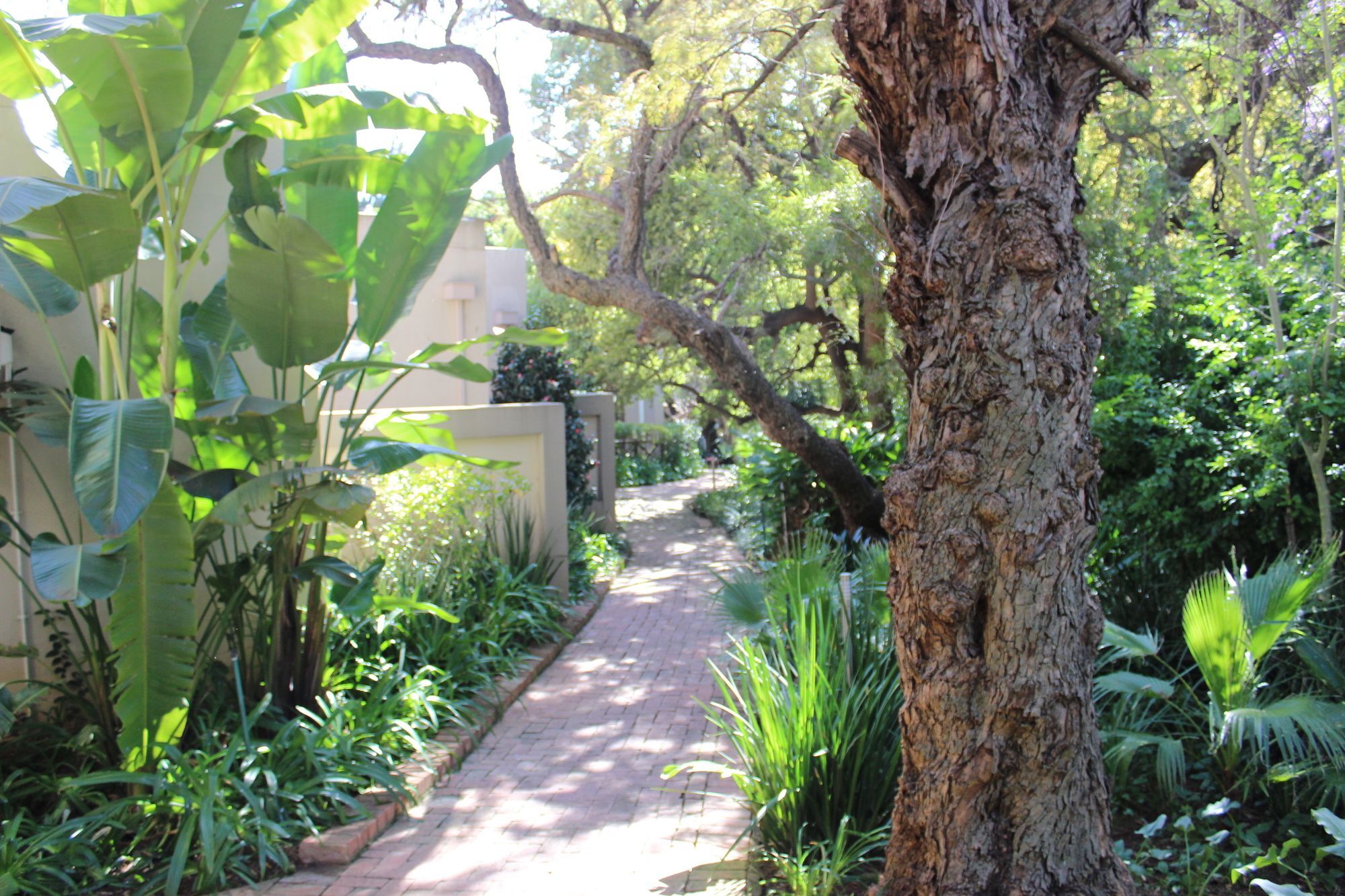 Village Ridge Boutique Stays Pretoria-Noord Kültér fotó